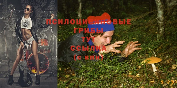 молекула духа Абдулино