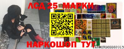 прущие крисы Кузнецк